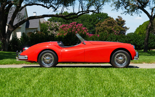 【レア品】Rodehberg/Commander 1 STAR WARS ANH DEATH SQUAD COMMANDER HONG KONG 100% COMPLETE